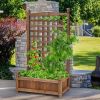 Solid Wood Farmhouse Garden Planter Box with 48-inch High Trellis