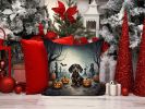 Dachshund Spooky Halloween Throw Pillow Machine Washable, Indoor Outdoor Decorative Pillow for Couch, Bed or Patio, 14Hx14W