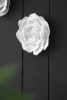 S/2 White Rose Hanging Wall Accents