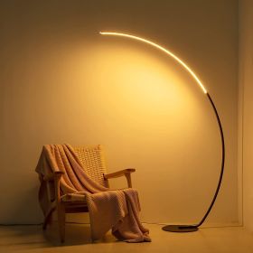 RGBW Modern Curve Floor Lamp RGBW Modern Curve Floor Lamp